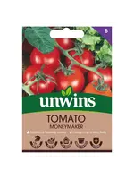 Unwins Tomato - Moneymaker