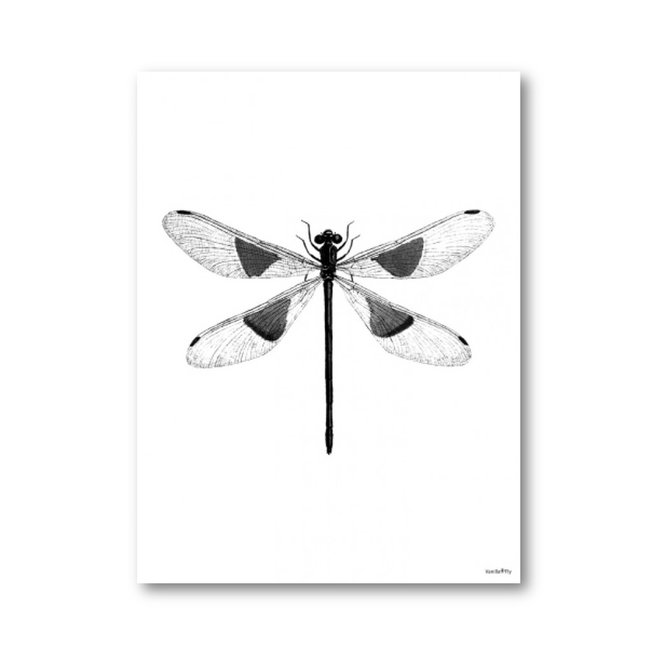 Poster Spotted Dragonfly