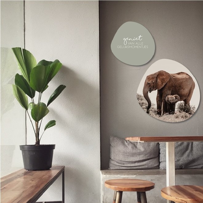 Wall circle organic Elephant baby