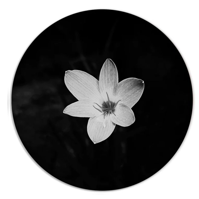 Muurcirkel Flower Black White