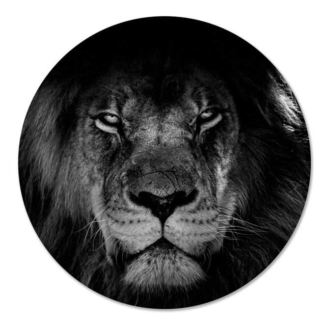 Wall Circle Lion black