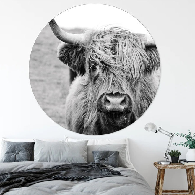 Wall Circle Cow