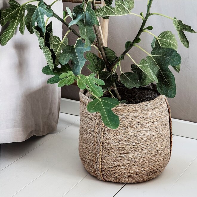 Basket, Plant, Set of 2 sizes