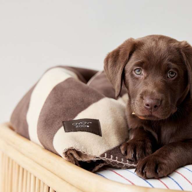Kaya Dog Blanket Medium Choko brown