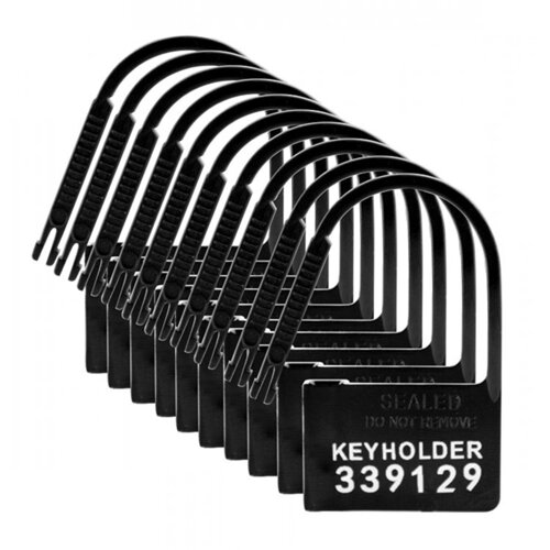 Master Series Keyholder Kuisheidskooi Hangslotjes - 10 Stuks Master Series Keyholder Kuisheidskooi Hangslotjes - 10 Stuks