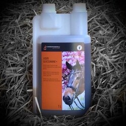 Paardensupplementen.nl Liquid Glucosamine+