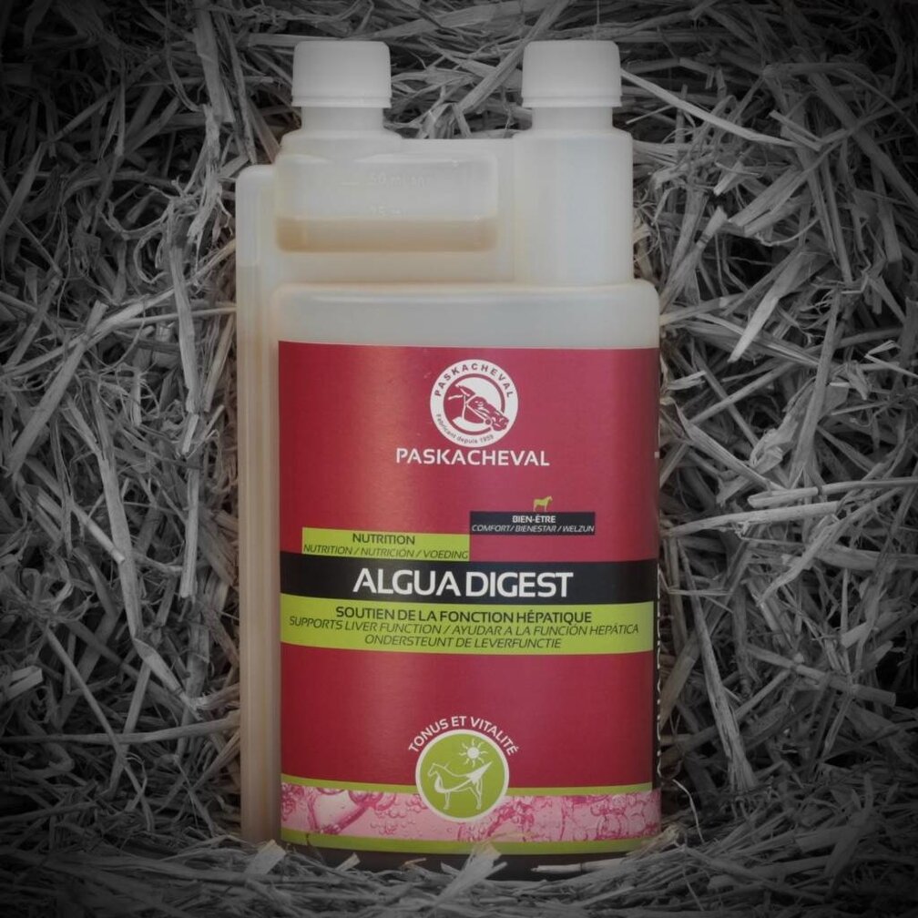 ALGUA DIGEST 1 liter