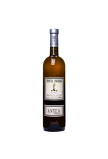 Tenuta Anfosso, Soldano Tenuta Anfosso Antea vino bianco 2019