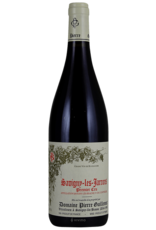 Pierre Guillemot Savigny-les-Beaune 1er Cru Jarrons  2021 Pierre Guillemot