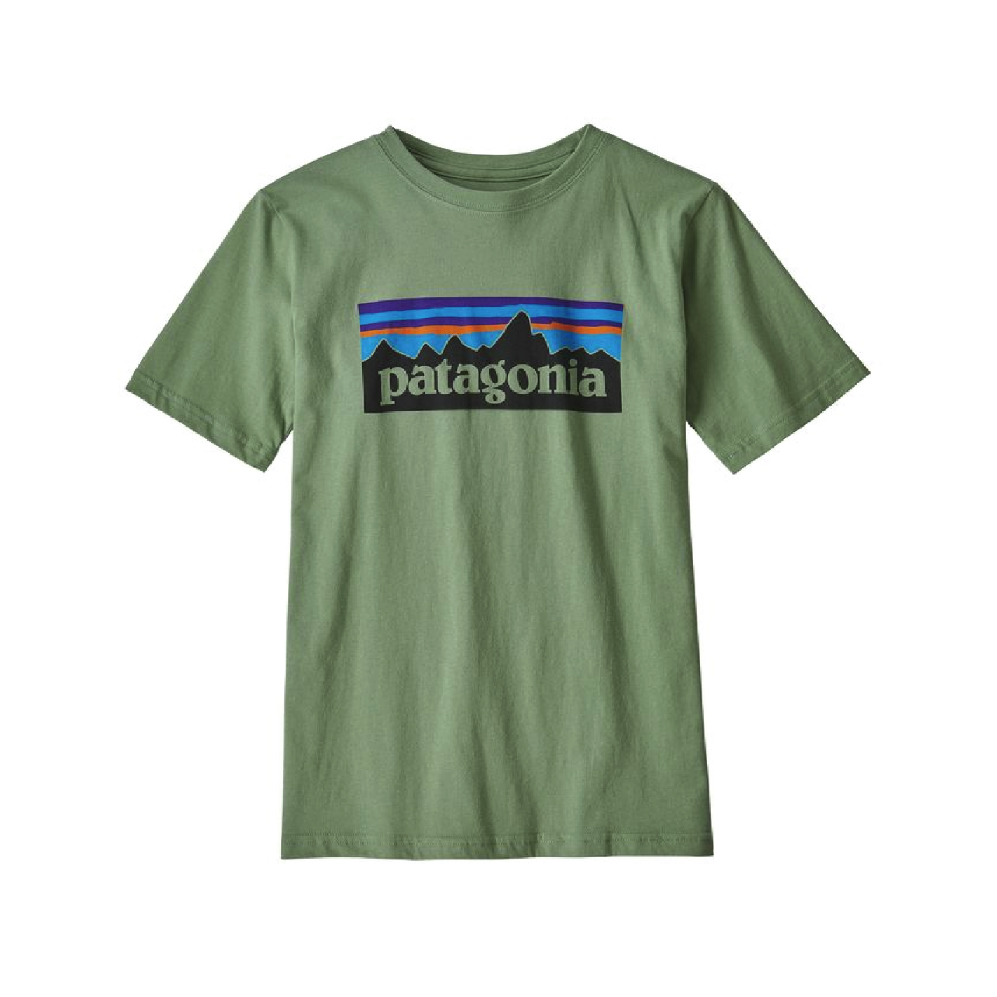 green patagonia shirt