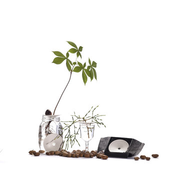 Sprout Sprout S