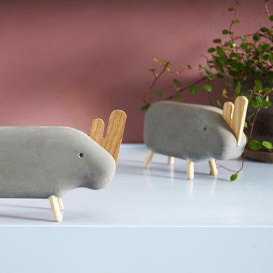 Korridor Design Concrete rhino