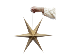 Delight Department Ornament star gold set of 2