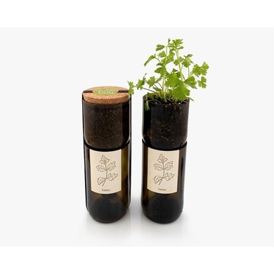 Life in a bag Life in a bag organic herb bottle with parsley