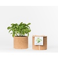 Life in a bag Life in a bag spice pot cork basil