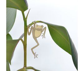 Another Studio Plant bug frog