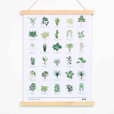 Another Studio Houseplant print