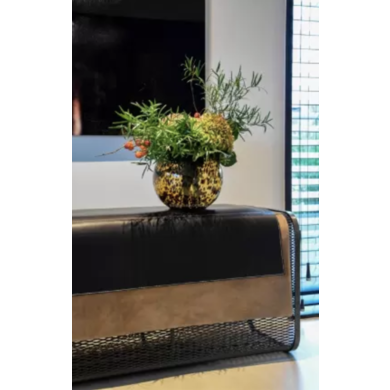Vase the World Vase the world Zambezi cheetah rond