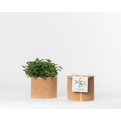 Life in a bag Life in a bag kruidenpot kurk oregano