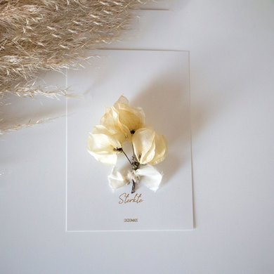 Cocoomade Cocoomade flowercard sterkte