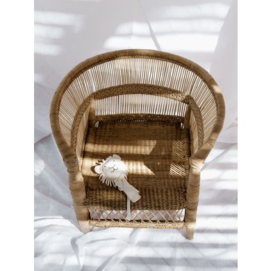 Trends and Trade Aalsmeer Malawi kinderstoel cane