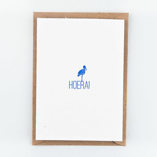 STUDIO FLASH FLASH BABY HOERA BLAUW