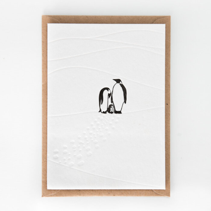 STUDIO FLASH FLASH BABY MOUNTAIN PINGUINS
