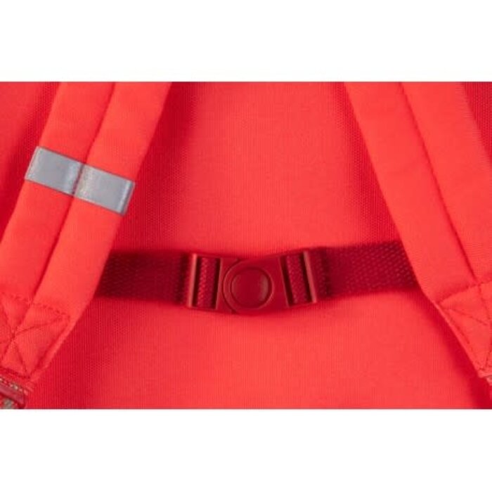 LILLIPUTIENS LILLIPUTIENS ANAIS SCHOOLTAS