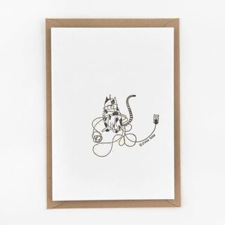 STUDIO FLASH FLASH XMAS CHRISTMAS LIGHTS CAT