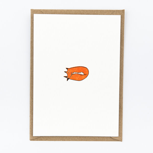 STUDIO FLASH FLASH BABY SLEEPING LITTLE FOX