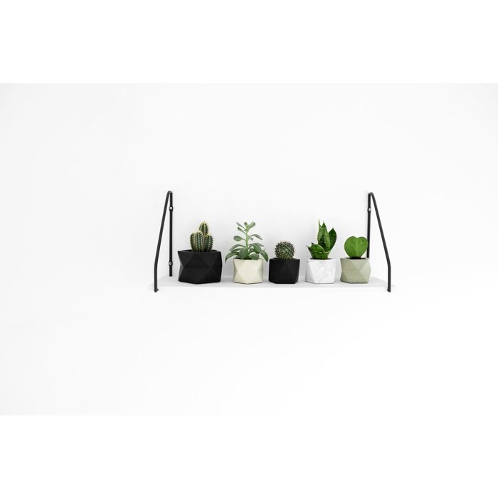 HR PALUA PLANTER M PINK 5,5 CM