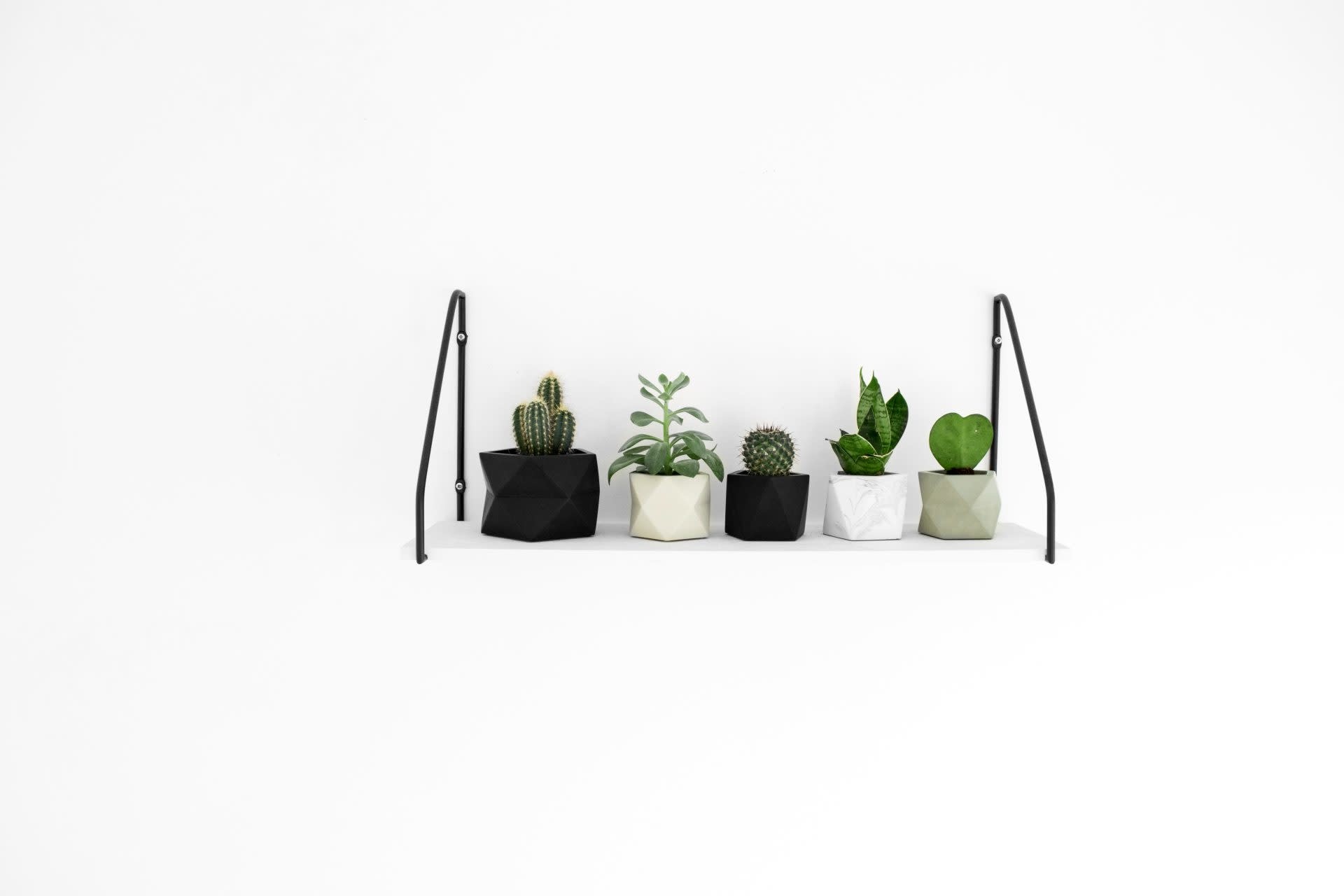 HR PALUA PLANTER M PINK 5,5 CM