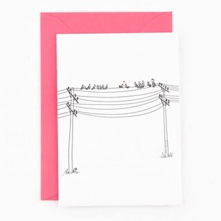 STUDIO FLASH FLASH LOVE BIRDS