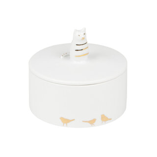 RADER RADER JAR CAT S