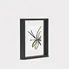 UNC PHOTO FRAME FLOATING MINIMALISM BLACK M