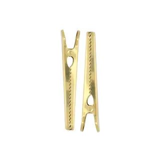 ZUSSS ZUSSS SET VAN 2 METALEN CLIPS GOUD