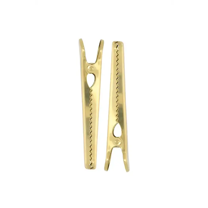 ZUSSS ZUSSS SET VAN 2 METALEN CLIPS GOUD