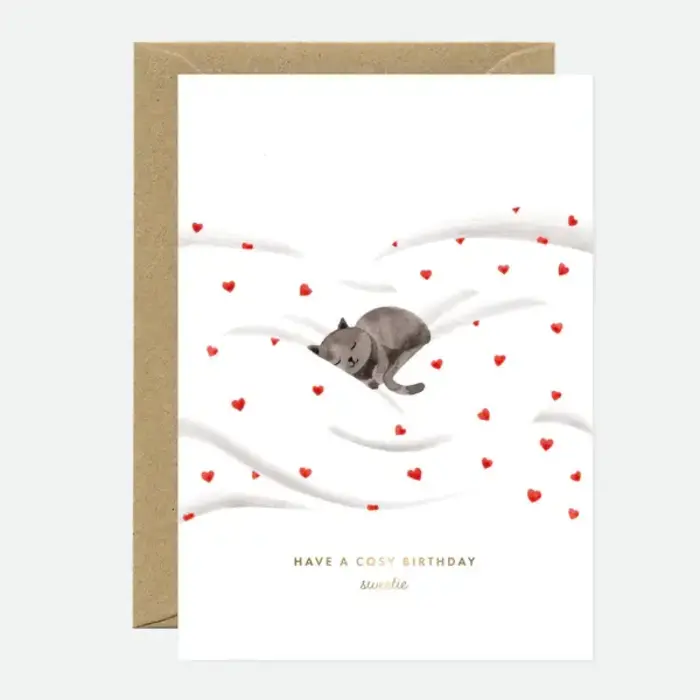 ALL THE WAYS TO SAY ATWTS BDAY COSY CAT