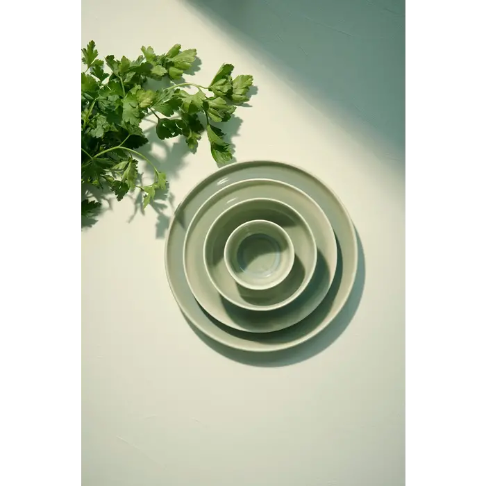 ASA SELECTION ASA SAISONS AGAVE PLAT BORD 26.5CM