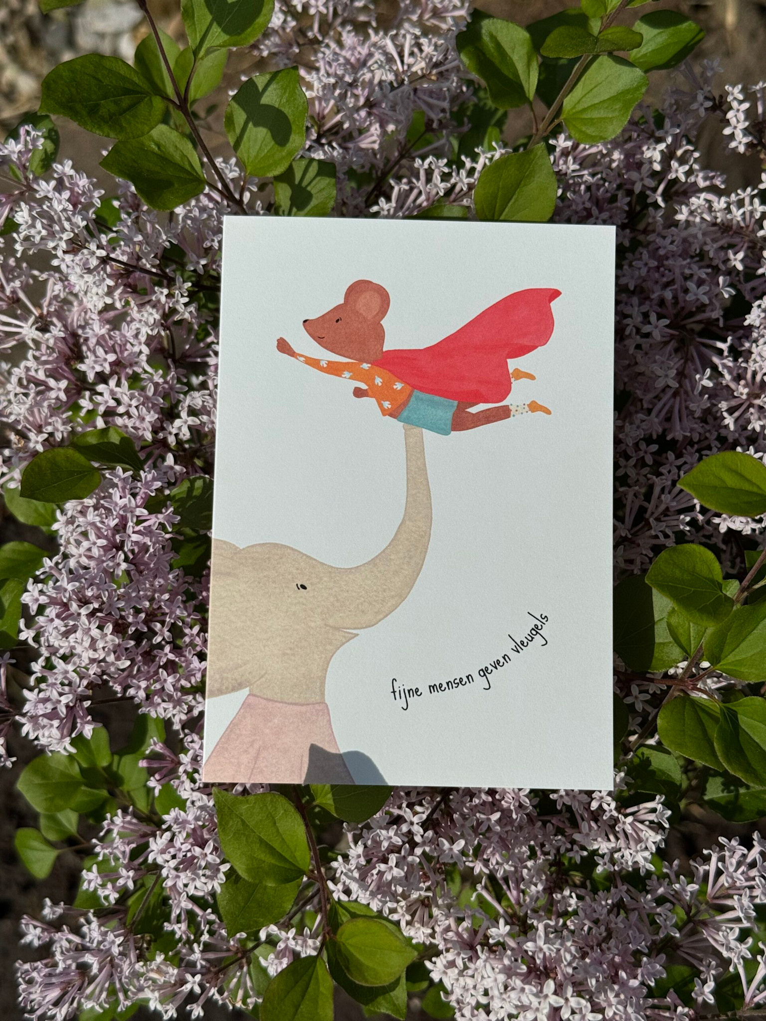 STUDIO BERTHA BERTHA MISC FIJNE MENSEN GEVEN VLEUGELS (DUBBEL)