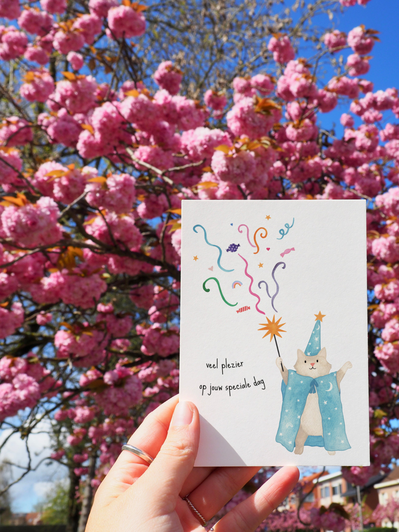 STUDIO BERTHA BERTHA MISC VEEL PLEZIER OP JOUW SPECIALE DAG (DUBBEL)