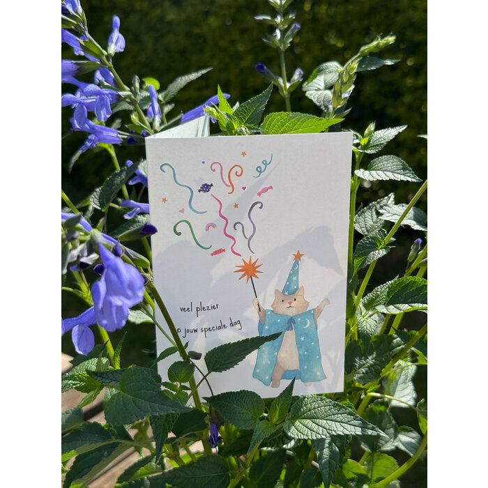 STUDIO BERTHA BERTHA MISC VEEL PLEZIER OP JOUW SPECIALE DAG (DUBBEL)