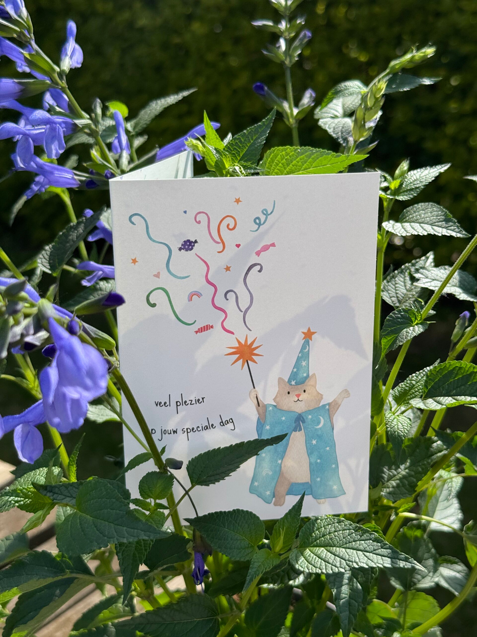 STUDIO BERTHA BERTHA MISC VEEL PLEZIER OP JOUW SPECIALE DAG (DUBBEL)