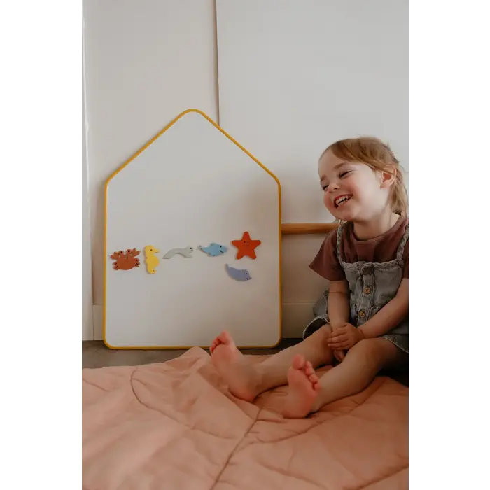 MOES MAGNETIC SEA LIFE ANIMALS (6 STUKS)