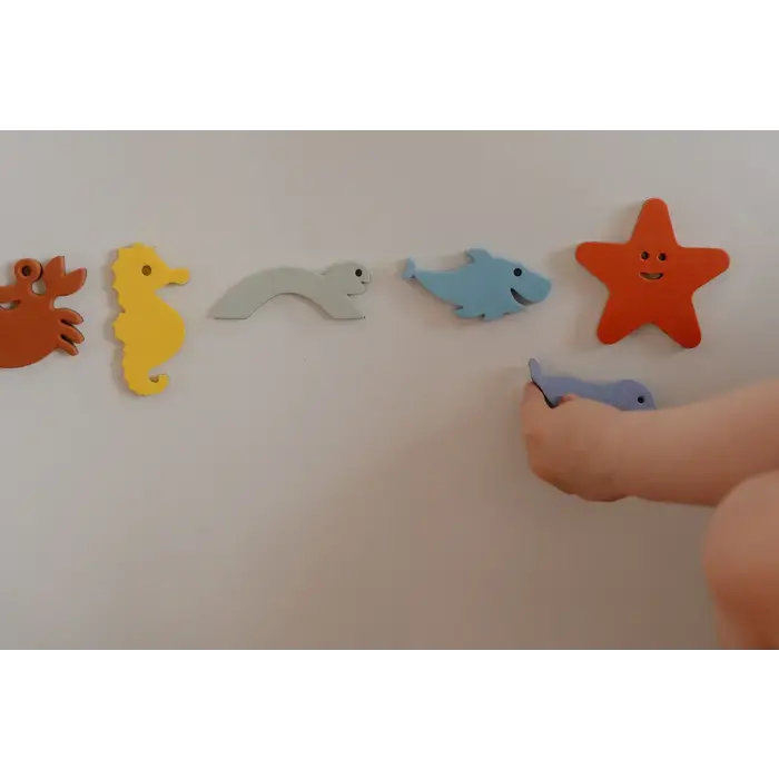 MOES MAGNETIC SEA LIFE ANIMALS (6 STUKS)