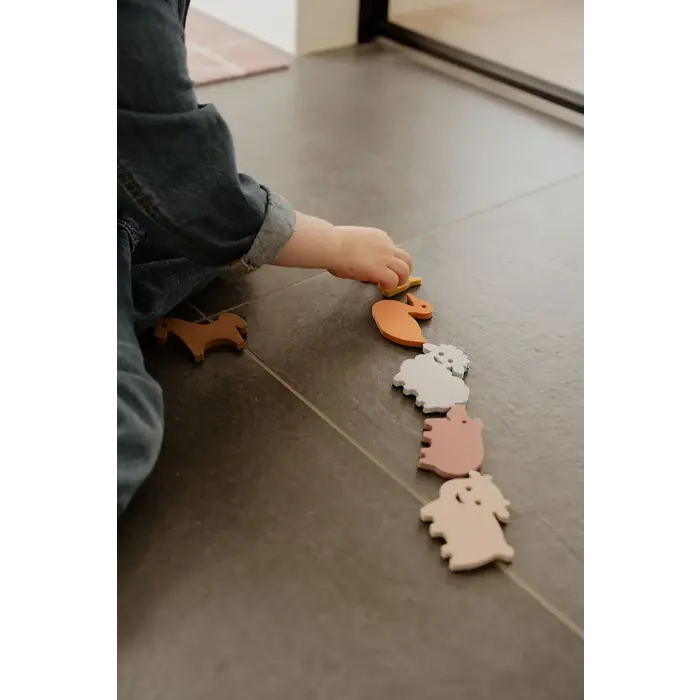 MOES MAGNETIC FARM ANIMALS (6 STUKS)