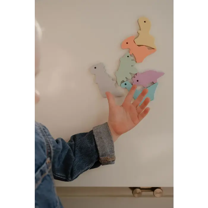 MOES MAGNETIC DINOSAURS (6 STUKS)