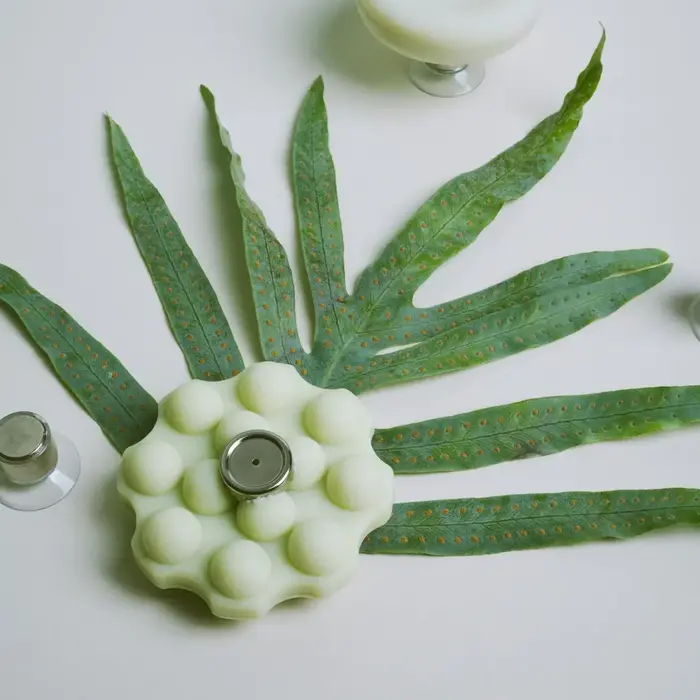 WONDR WONDR MAGNETISCHE ZEEPHOUDER (SET VAN 3)