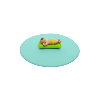 IV ZOMERDEKSEL BEACH BOYS AQUA LUCHTMATRAS