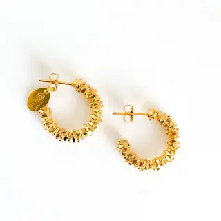 MURIELLE PERROTTI PERROTTI MARTIGUE XS CREOLEN GEDRAAID